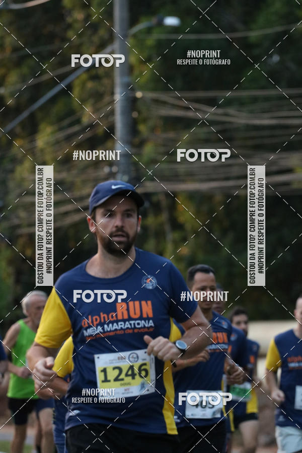 Buy your photos of the event21K Alpha Run - Equipe ASI on Fotop
