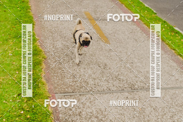 Buy your photos of the eventCorrida - 3� Treino Canela Seca - Marco Zero - Parque Ecol�gico Francisco Lins do Rego  - Pampulha - Belo Horizonte - 27janeiro2019  on Fotop