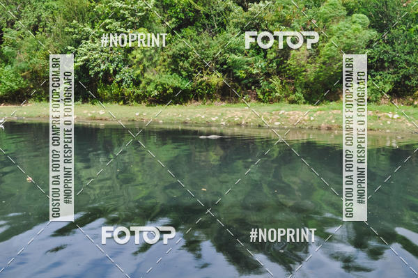 Buy your photos of the eventCorrida - 3� Treino Canela Seca - Marco Zero - Parque Ecol�gico Francisco Lins do Rego  - Pampulha - Belo Horizonte - 27janeiro2019  on Fotop