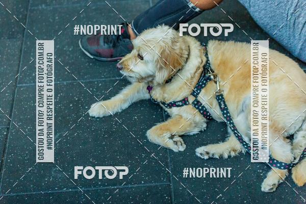 Buy your photos of the eventWodLeague Season Opener Edition - Crossfit Maddock on Fotop