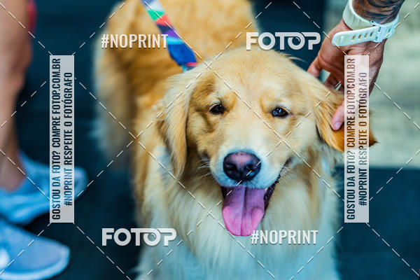 Buy your photos of the eventMaratona de Remo - Crossfit Saurus  on Fotop