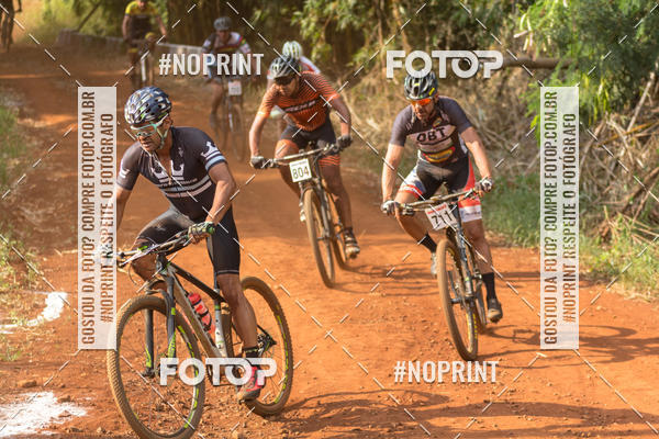 Buy your photos of the eventALIGA on Fotop