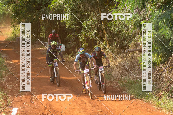 Buy your photos of the eventALIGA on Fotop