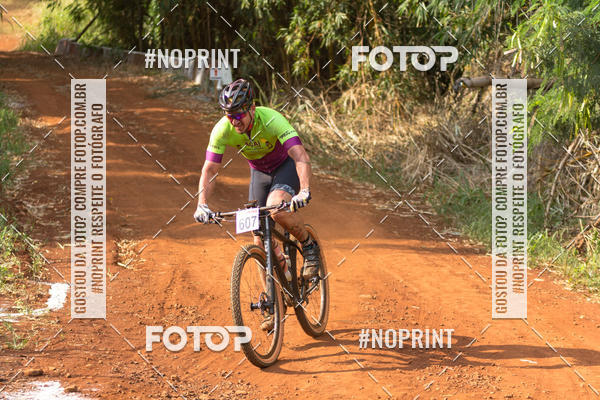 Buy your photos of the eventALIGA on Fotop