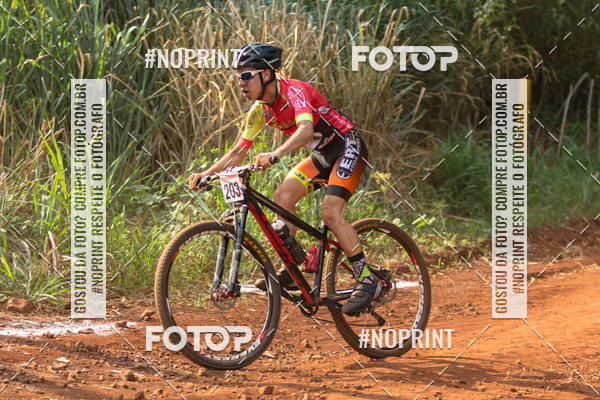 Buy your photos of the eventALIGA on Fotop