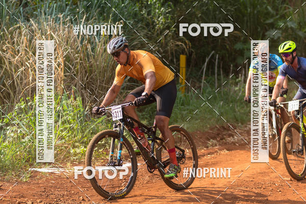 Buy your photos of the eventALIGA on Fotop