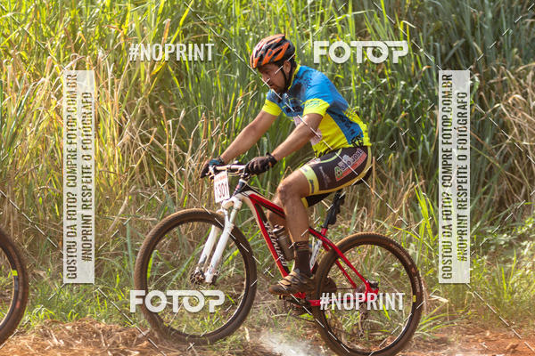 Buy your photos of the eventALIGA on Fotop