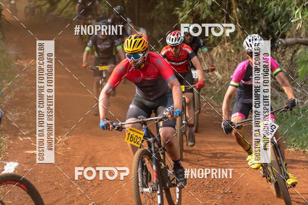 Buy your photos of the eventALIGA on Fotop