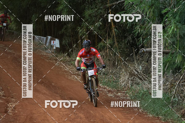 Buy your photos of the eventALIGA on Fotop