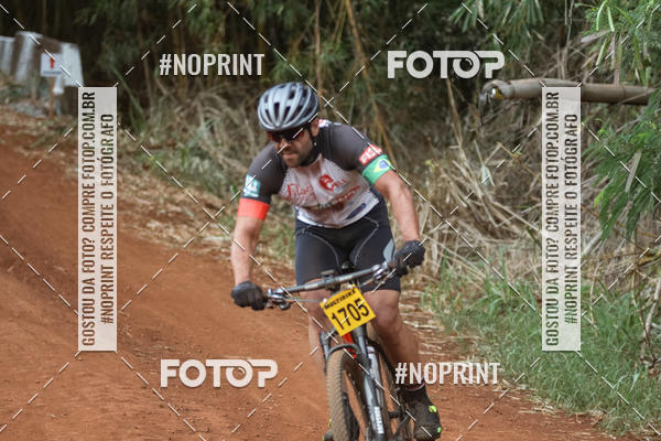 Buy your photos of the eventALIGA on Fotop