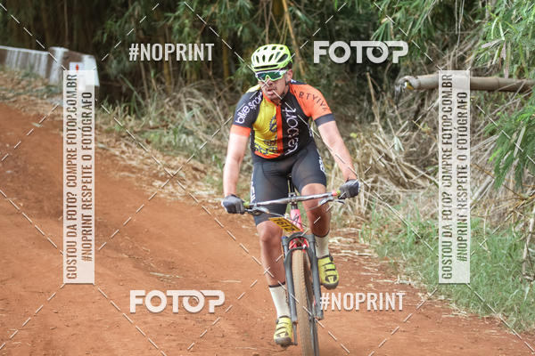 Buy your photos of the eventALIGA on Fotop