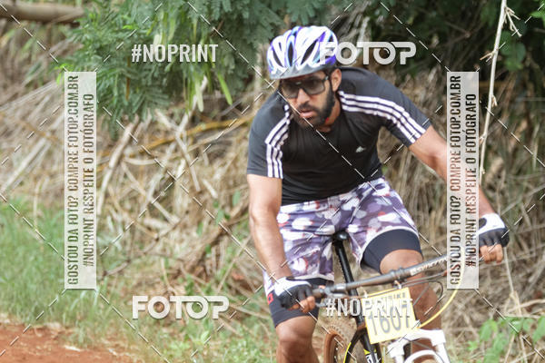 Buy your photos of the eventALIGA on Fotop