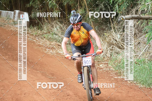 Buy your photos of the eventALIGA on Fotop