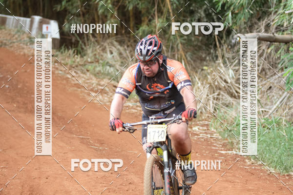 Buy your photos of the eventALIGA on Fotop