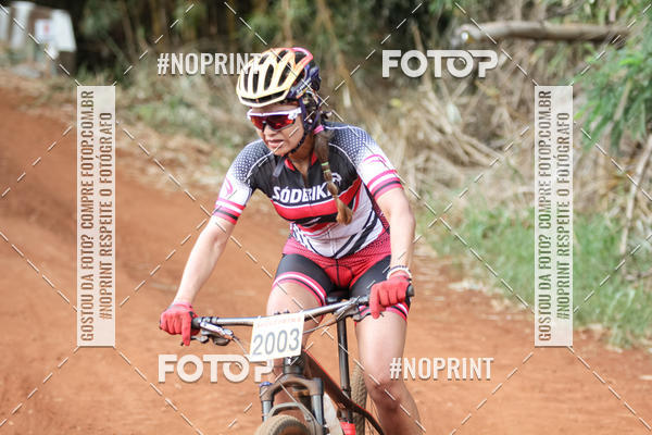 Buy your photos of the eventALIGA on Fotop