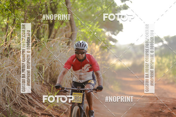 Buy your photos of the eventALIGA on Fotop