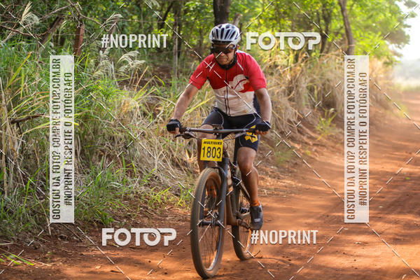 Buy your photos of the eventALIGA on Fotop