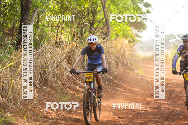 Buy your photos of the eventALIGA on Fotop