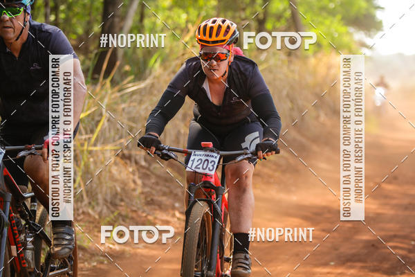 Buy your photos of the eventALIGA on Fotop