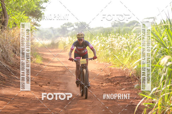 Buy your photos of the eventALIGA on Fotop