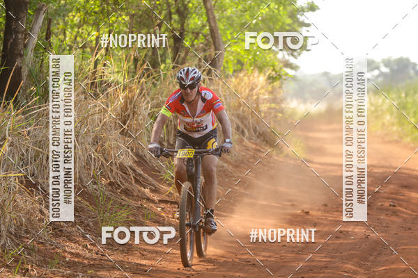 Buy your photos of the eventALIGA on Fotop