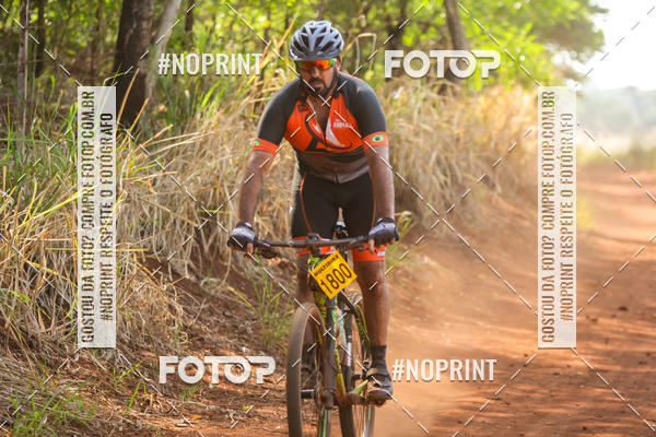 Buy your photos of the eventALIGA on Fotop