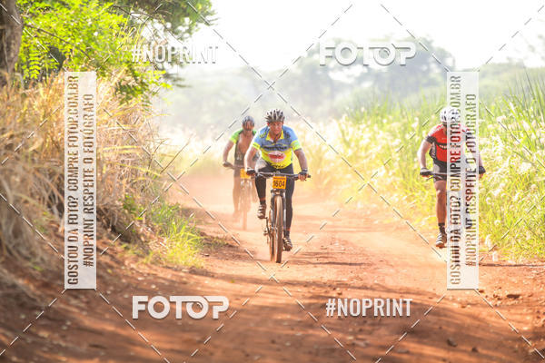 Buy your photos of the eventALIGA on Fotop