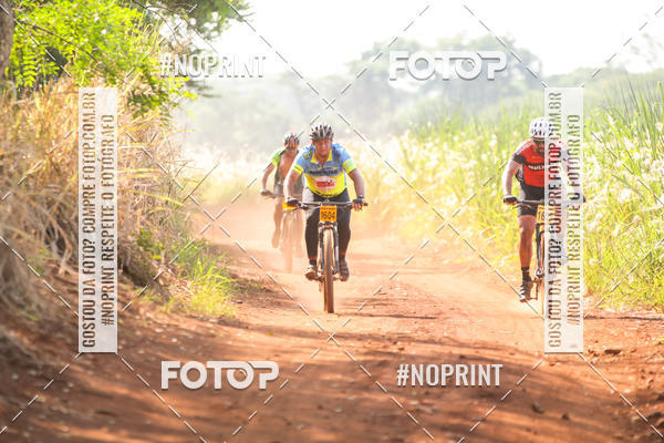 Buy your photos of the eventALIGA on Fotop