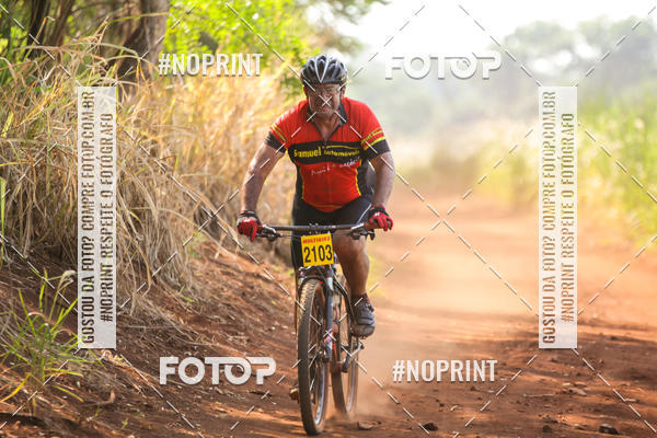 Buy your photos of the eventALIGA on Fotop