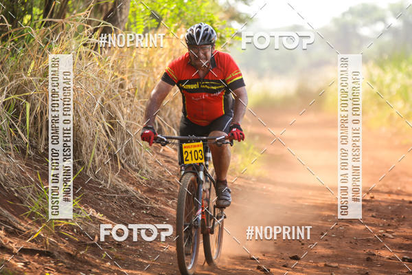 Buy your photos of the eventALIGA on Fotop