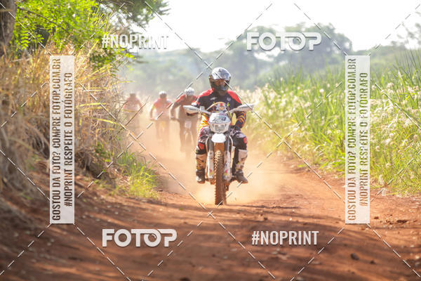 Buy your photos of the eventALIGA on Fotop