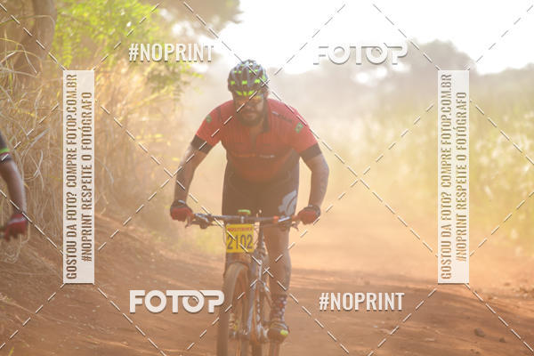 Buy your photos of the eventALIGA on Fotop