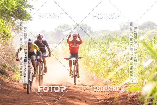 Buy your photos of the eventALIGA on Fotop