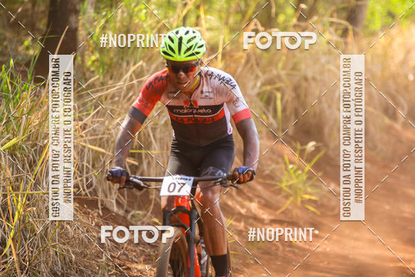 Buy your photos of the eventALIGA on Fotop