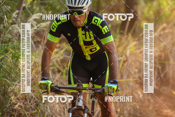 Buy your photos of the eventALIGA on Fotop