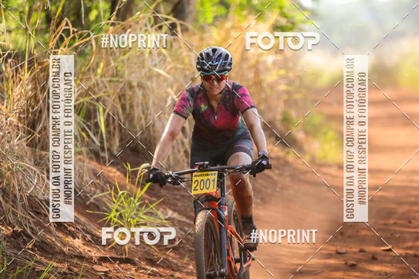 Buy your photos of the eventALIGA on Fotop