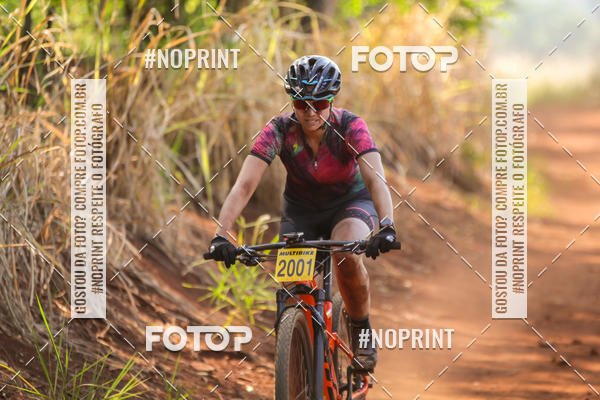 Buy your photos of the eventALIGA on Fotop