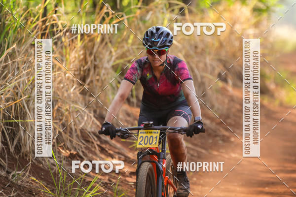 Buy your photos of the eventALIGA on Fotop