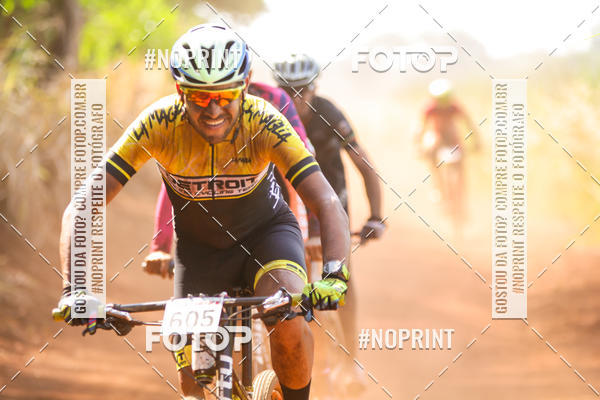 Buy your photos of the eventALIGA on Fotop