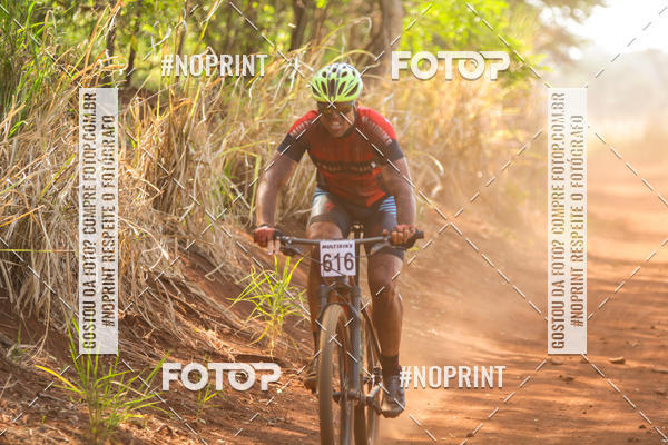 Buy your photos of the eventALIGA on Fotop