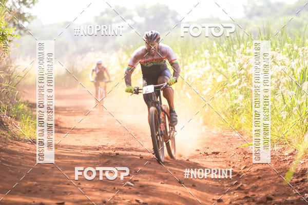 Buy your photos of the eventALIGA on Fotop