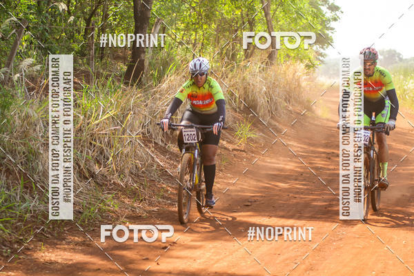 Buy your photos of the eventALIGA on Fotop