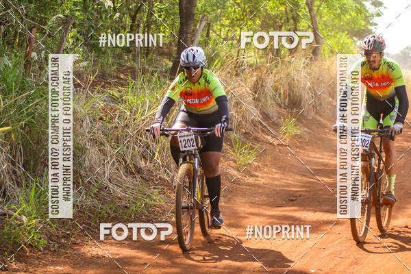 Buy your photos of the eventALIGA on Fotop