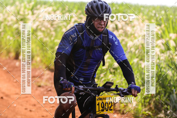 Buy your photos of the eventALIGA on Fotop