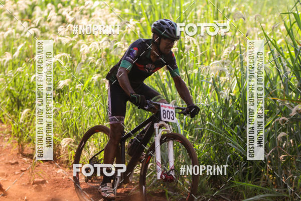 Buy your photos of the eventALIGA on Fotop