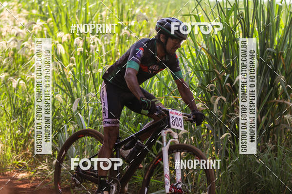 Buy your photos of the eventALIGA on Fotop