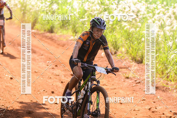 Buy your photos of the eventALIGA on Fotop