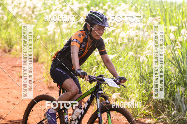 Buy your photos of the eventALIGA on Fotop