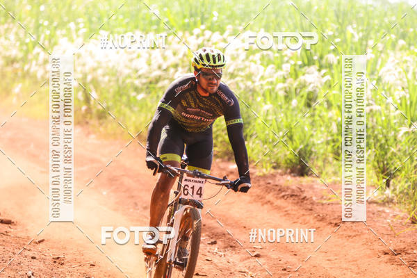 Buy your photos of the eventALIGA on Fotop