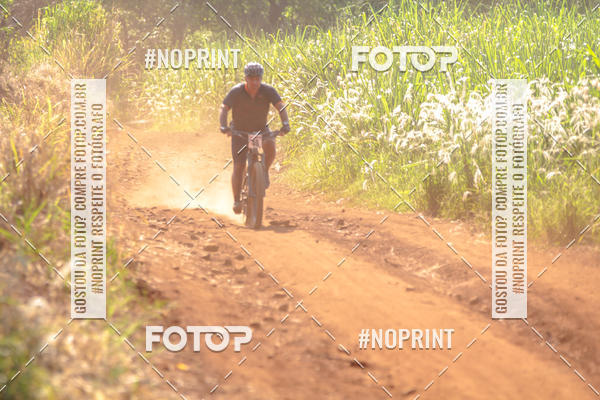 Buy your photos of the eventALIGA on Fotop